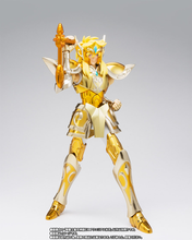 Cargar imagen en el visor de la galería, Saint Seiya - Myth Cloth EX - Acuario Hyoga