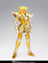 Cargar imagen en el visor de la galería, Saint Seiya - Myth Cloth EX - Acuario Hyoga
